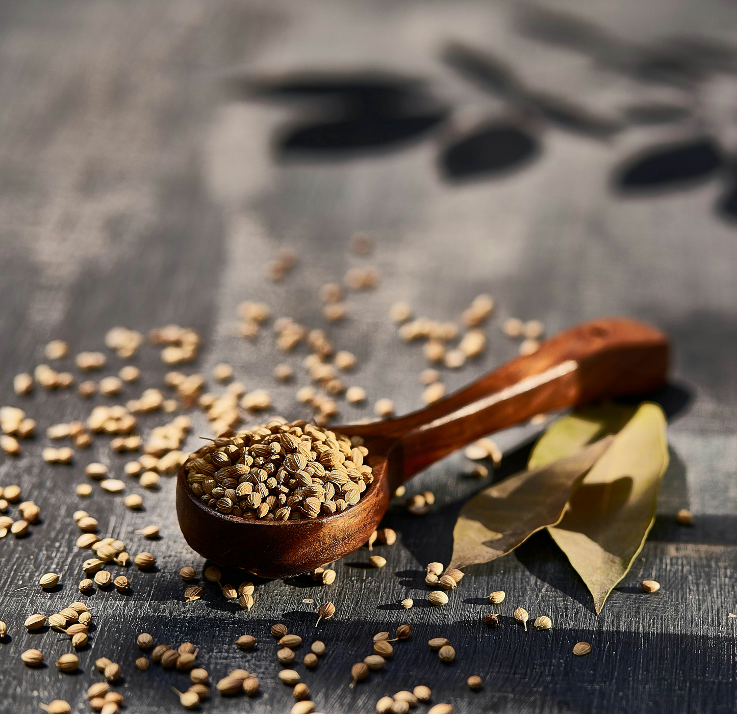 Coriander Seed/Powder